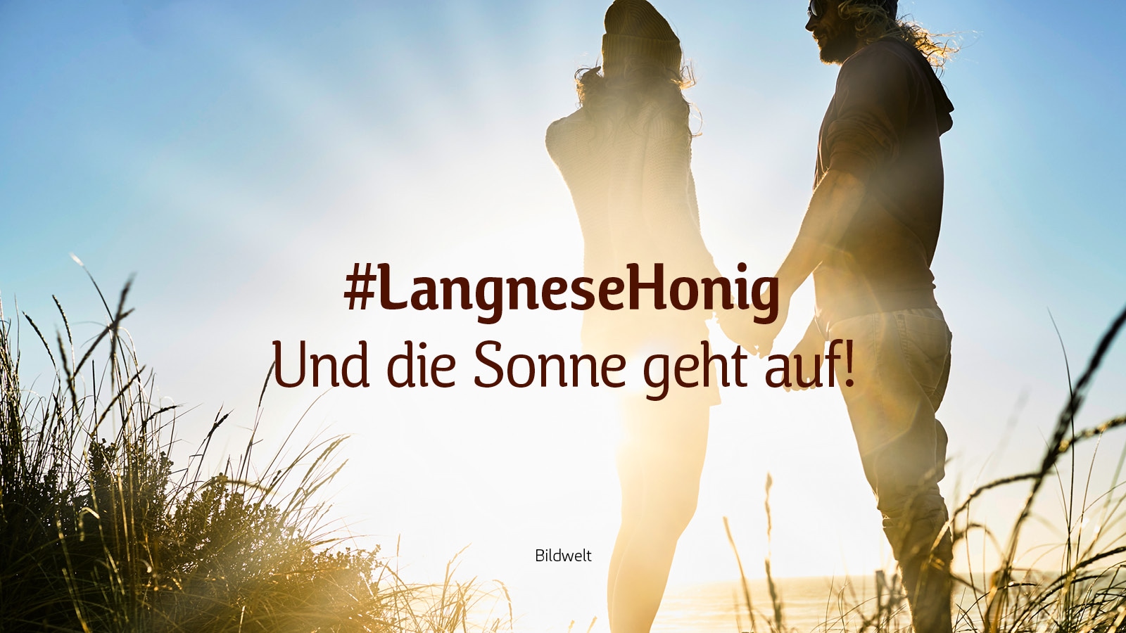 langnese_case_some_slider_b_03_1600x900px.jpg