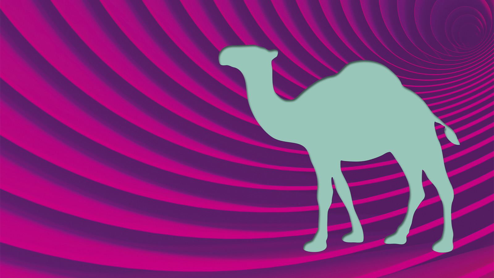 Camel_case_Camel_stage.jpg